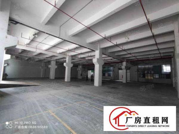  碧湖大道一楼带牛角重工业厂房