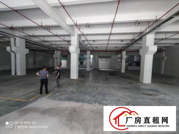  碧湖大道一楼带牛角重工业厂房