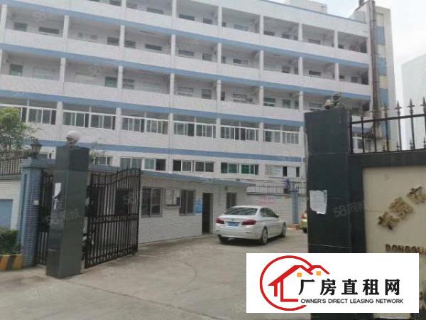  碧湖大道一楼带牛角重工业厂房