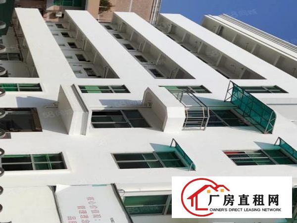  凤岗小独院厂房总面积4800平方出租