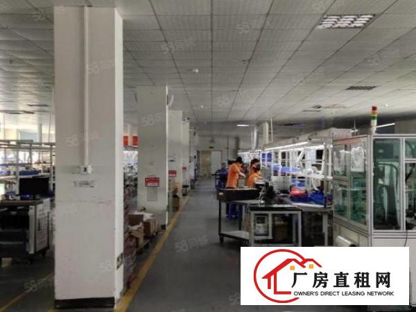  凤岗小独院厂房总面积4800平方出租