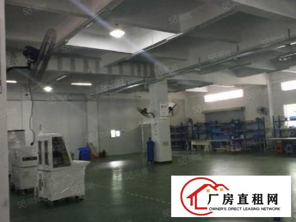  凤岗汽车站附近6500平方独院出租，大小可分租