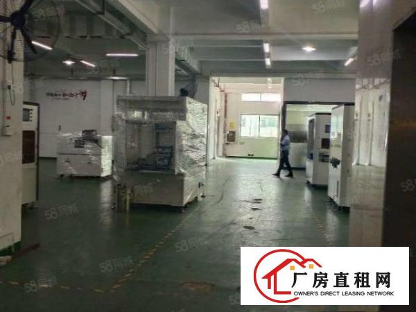  凤岗汽车站附近6500平方独院出租，大小可分租
