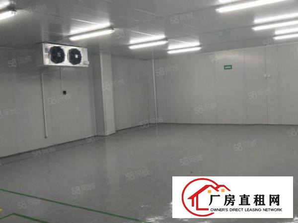  凤岗汽车站附近6500平方独院出租，大小可分租