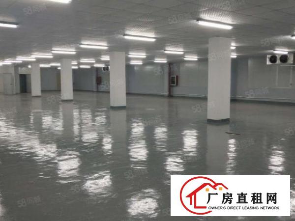  凤岗汽车站附近6500平方独院出租，大小可分租