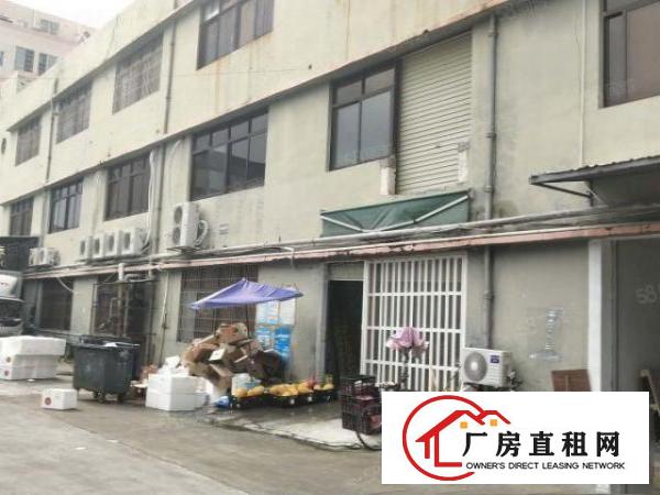  凤岗汽车站附近6500平方独院出租，大小可分租
