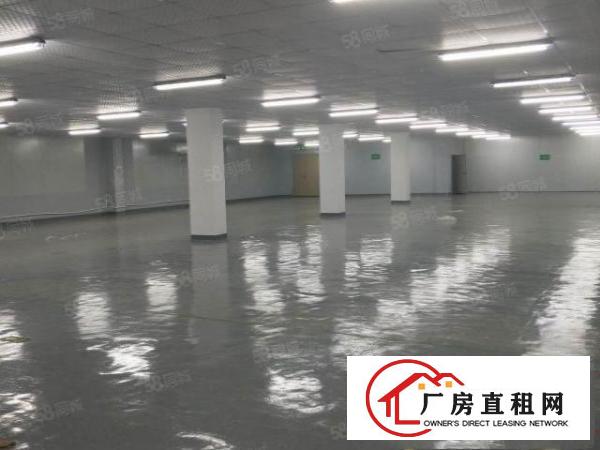  凤岗汽车站附近6500平方独院出租，大小可分租