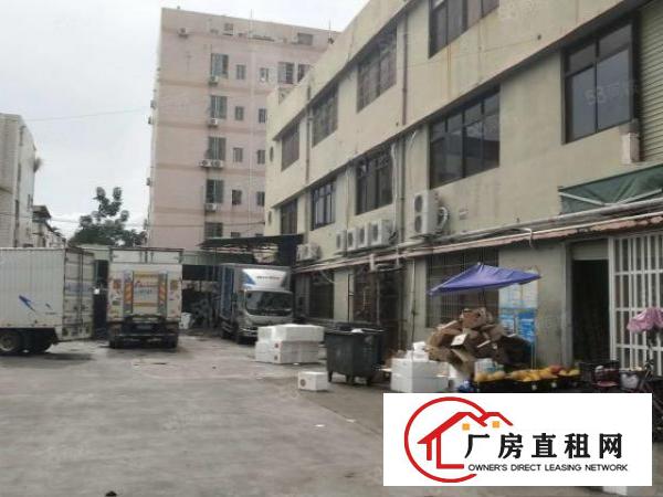  凤岗汽车站附近6500平方独院出租，大小可分租