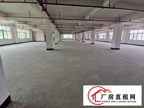  凤岗雁田精博工业区新出3600平带牛角厂房出租300平起分