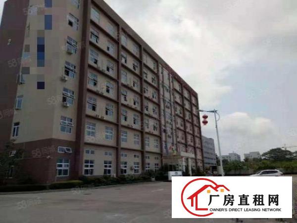  凤岗雁田精博工业区新出3600平带牛角厂房出租300平起分