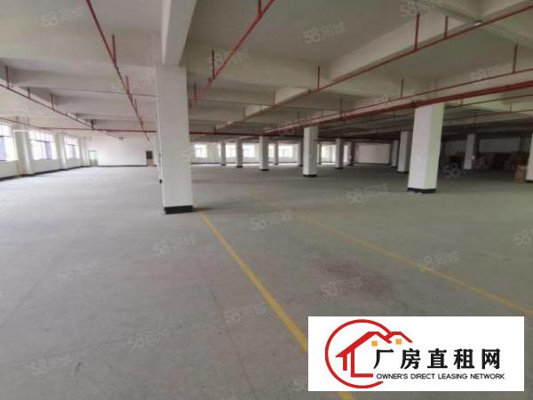  凤岗雁田精博工业区新出3600平带牛角厂房出租300平起分