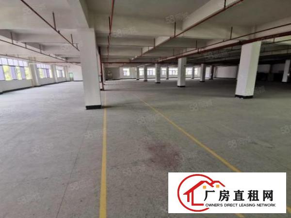  凤岗雁田精博工业区新出3600平带牛角厂房出租300平起分
