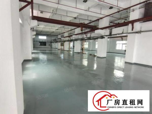  凤岗雁田精博工业区新出3600平带牛角厂房出租300平起分