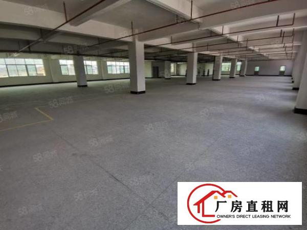  凤岗雁田精博工业区新出3600平带牛角厂房出租300平起分