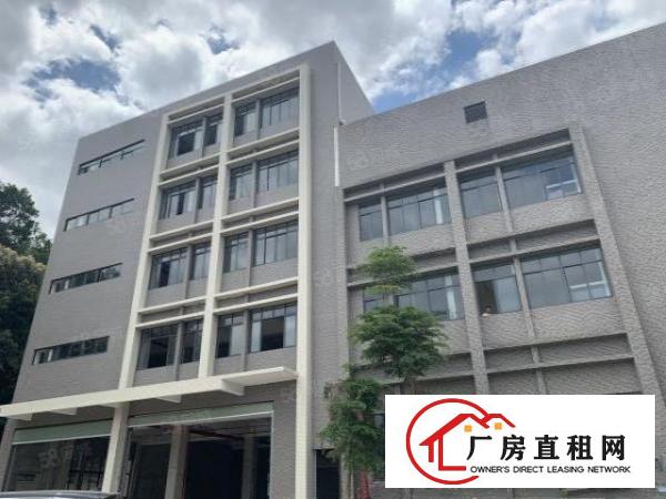  凤岗金凤凰厂房出租1000平方精装修水电齐全空地超大随意分租