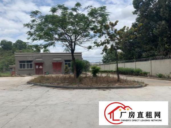  凤岗金凤凰厂房出租1000平方精装修水电齐全空地超大随意分租