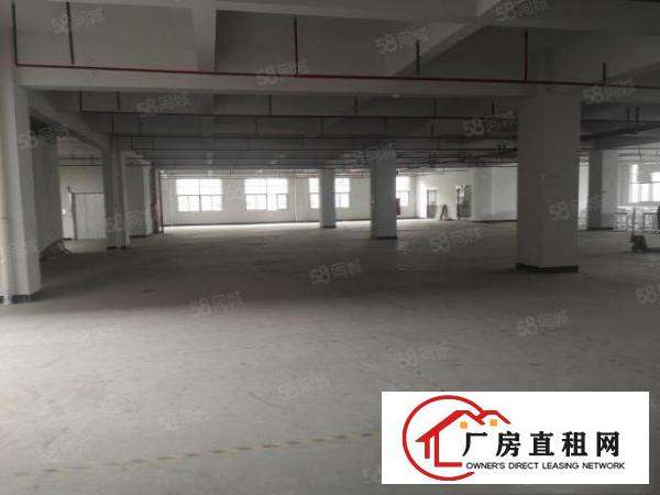  凤岗金凤凰厂房出租1000平方精装修水电齐全空地超大随意分租