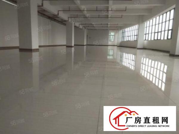  凤岗金凤凰厂房出租1000平方精装修水电齐全空地超大随意分租