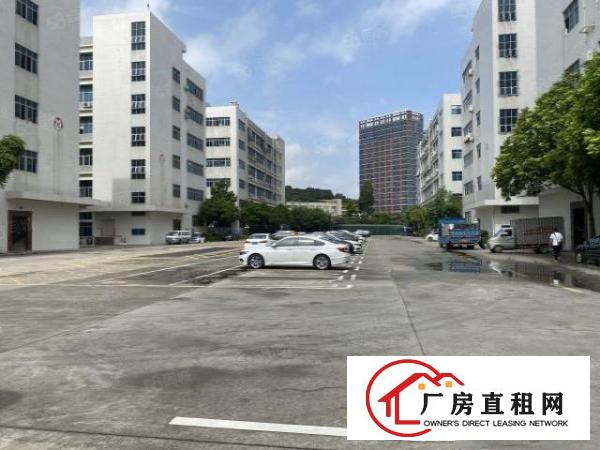  凤岗凤芝美工业园2万平厂房出租精装修一楼仓房300平起分租