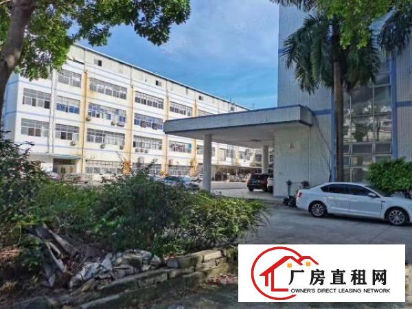  雁田海关新出楼上厂房11000平方，现成装修可分租