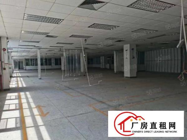  雁田海关新出楼上厂房11000平方，现成装修可分租