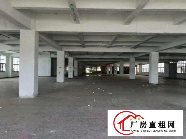  雁田海关新出楼上厂房11000平方，现成装修可分租