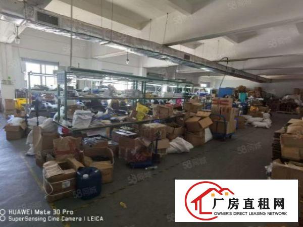  带装修办公室（好招工）凤岗雁田楼上电子厂房出租1150平方