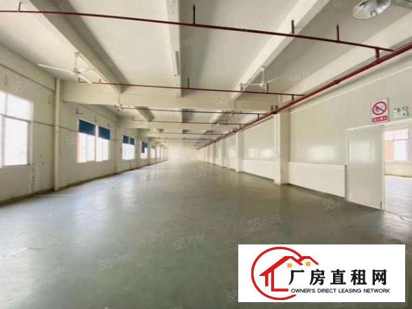  凤岗镇主干道边上新出原房东独院厂房16000平方，现成装修