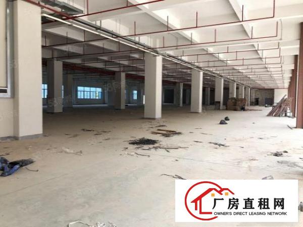  五金冻库仓储物流电商客户的福音总面积12万平方层高7米