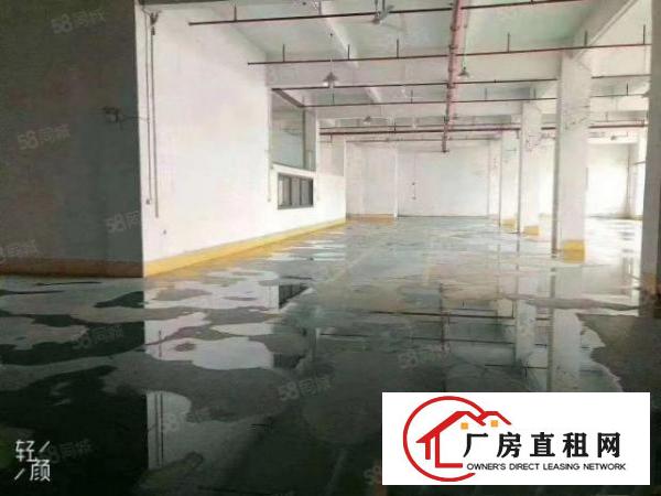  凤岗雁田工业园楼上厂房出租1000平带装修小面积可分租
