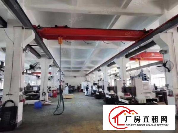  凤岗官井头工业区原房东一楼3500平厂房出租，高7米带牛角