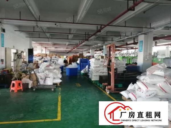  凤岗官井头工业区原房东一楼3500平厂房出租，高7米带牛角