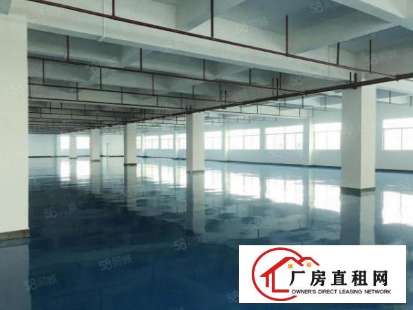  凤岗工业区全新厂房每层2500平方！全新地坪漆装修