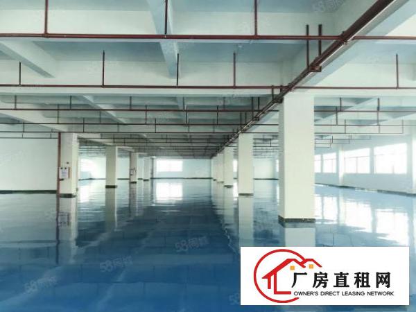  凤岗工业区全新厂房每层2500平方！全新地坪漆装修