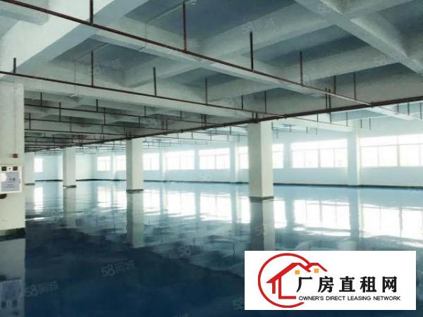  凤岗工业区全新厂房每层2500平方！全新地坪漆装修