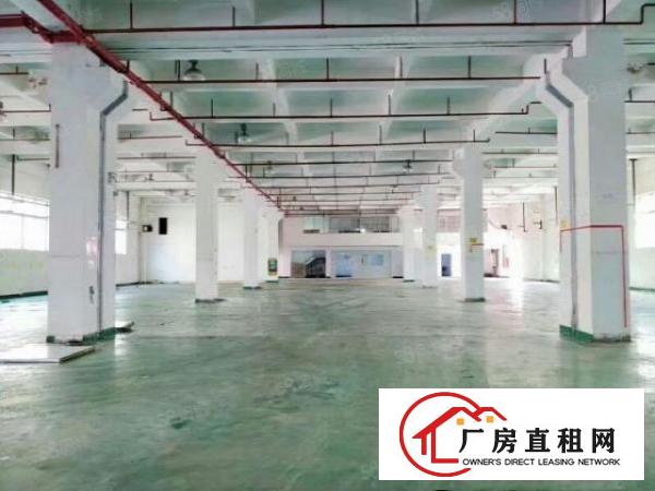  凤岗新出独院6500平方厂房火爆招租(可分租)