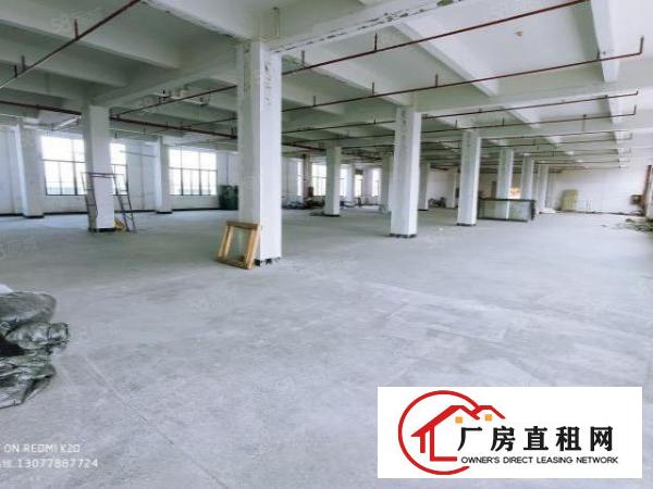  金凤凰原房东厂房分租一层