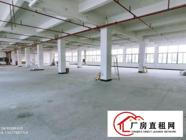  金凤凰原房东厂房分租一层