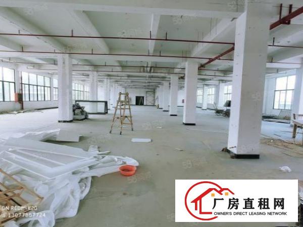  金凤凰原房东厂房分租一层