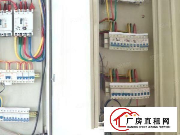 金凤凰原房东厂房分租一层