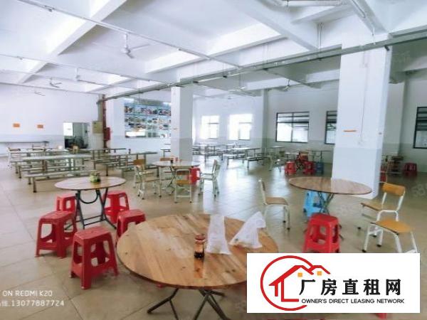  金凤凰原房东厂房分租一层