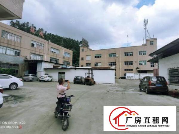  三联原房东三楼实际面积出租整层1000平方