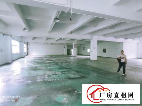  三联原房东三楼实际面积出租整层1000平方