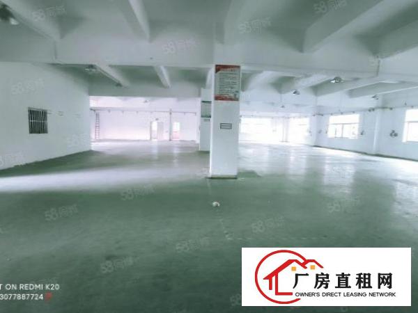  三联原房东三楼实际面积出租整层1000平方