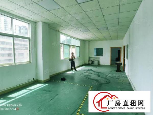  三联原房东三楼实际面积出租整层1000平方