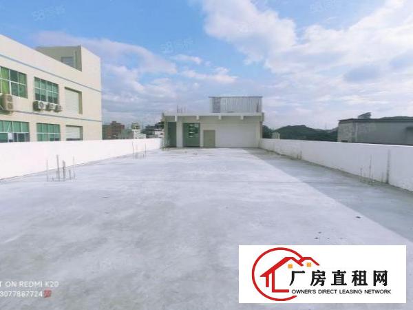  三联原房东三楼实际面积出租整层1000平方