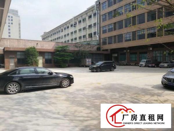  凤岗黄洞原房东一楼700平方带牛角6米高厂房出租