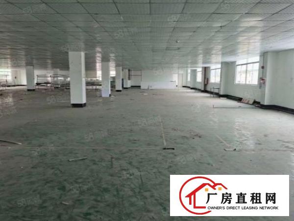  凤岗五联原房东5000平独院厂房出租，合同可签十年，可分租