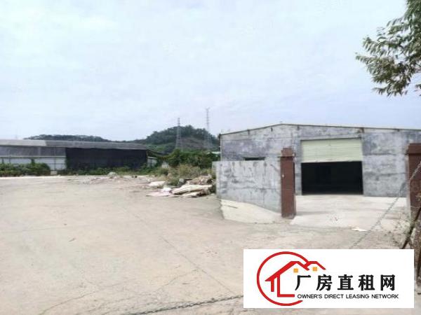 （出租）凤岗油甘埔独院钢构730平高6米