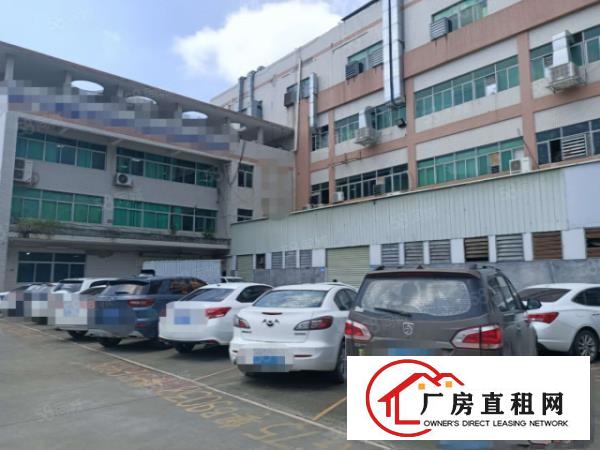  凤岗原房东一楼实际面积出租750平现成水电办公室带牛角
